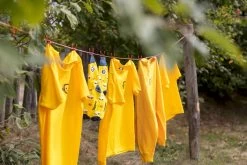 Easy Camp Eclipse 300 Tunneltent - 3 Persoons - Groen -Speciaalzaak Voor Kampeerartikelen 1267 1900 waslijn 1 2